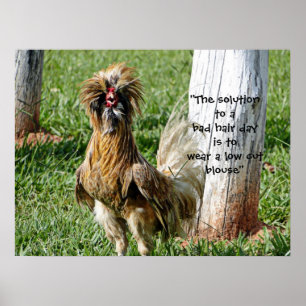The Solution to a Bad Hair Day Humor Poster