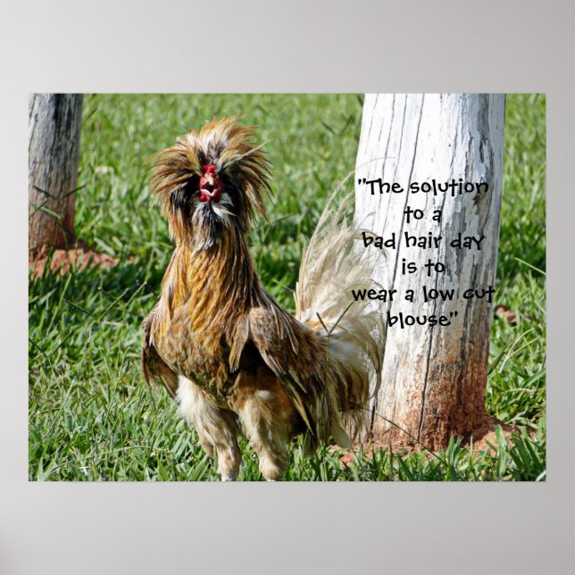 The Solution to a Bad Hair Day Humor Poster (Front)