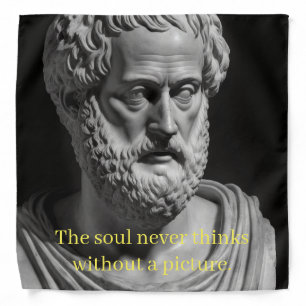 The soul never thinks without a picture bandana