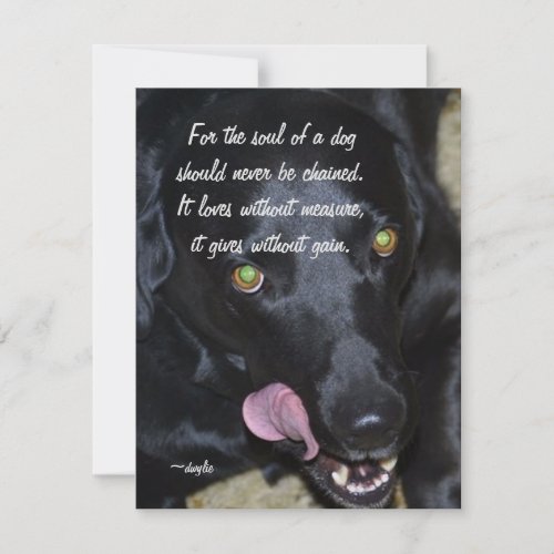 The Soul of a Dog _ Black Lab Holiday Card