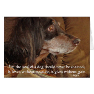 The Soul of a Dog - "For Milly" Cards