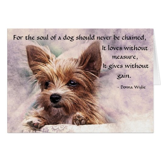 The Soul of a Dog - Yorkie (Front Horizontal)