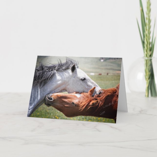 The soul of a horse! Greeting Card. Card (Front)