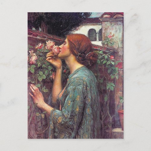 The Soul of The Rose by John W Waterhouse Postcard