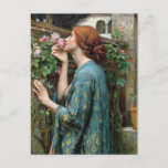 The Soul of the Rose | John William Waterhouse Postcard