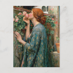 The Soul of the Rose - John William Waterhouse Postcard