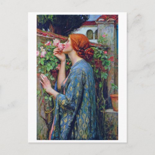 The Soul of the Rose John William Waterhouse Postcard