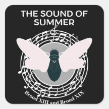 The Sound of Summer Cicada Brood