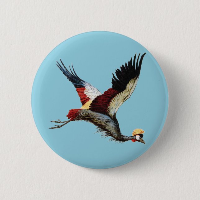 The South African crowned crane in mid-flight Button (Front)