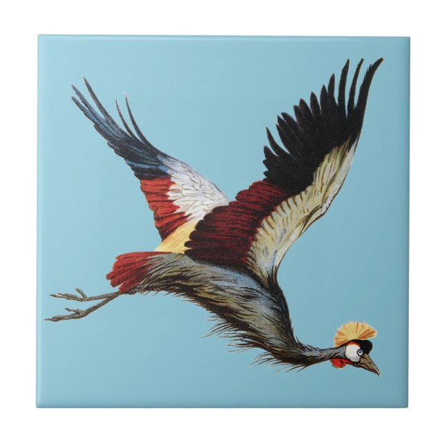 The South African crowned crane in mid-flight Ceramic Tile (Front)