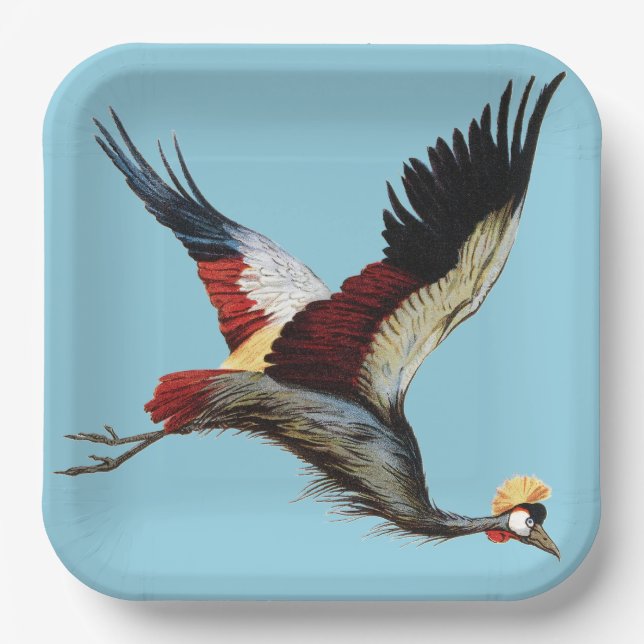 The South African crowned crane in mid-flight Paper Plates (Front)