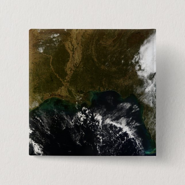 The southeastern United States Pinback Button (Front)