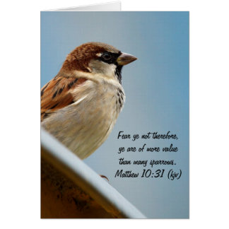 The Sparrow Cards