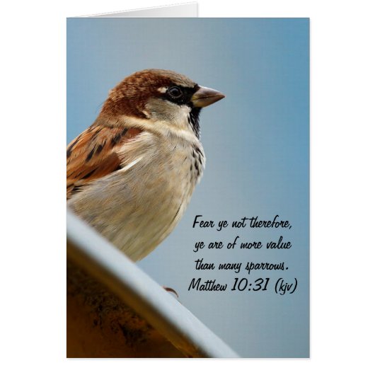 The Sparrow Cards (Front)