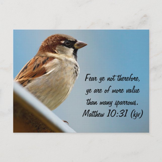 The Sparrow Postcard (Front)