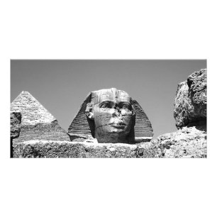The Sphinx Card