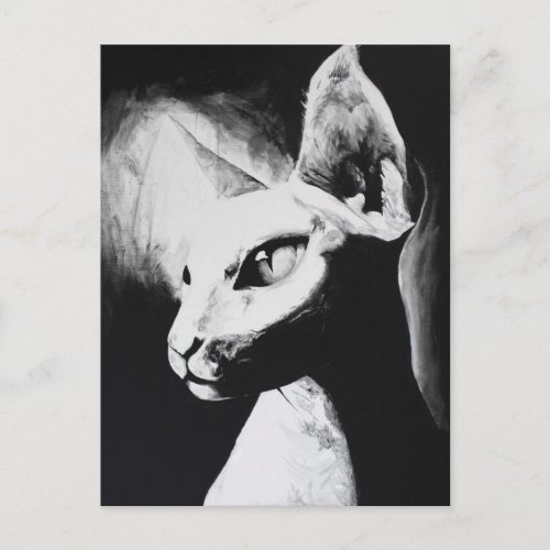 The Sphynx Hairless Cat Black  White Original Art Postcard