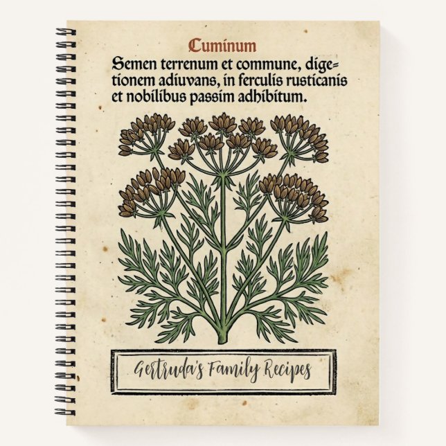 The Spice Merchant's Secret: Medieval Cumin Notebook (Front)