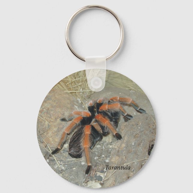 The Spider pix, Tarantula Keychain (Front)