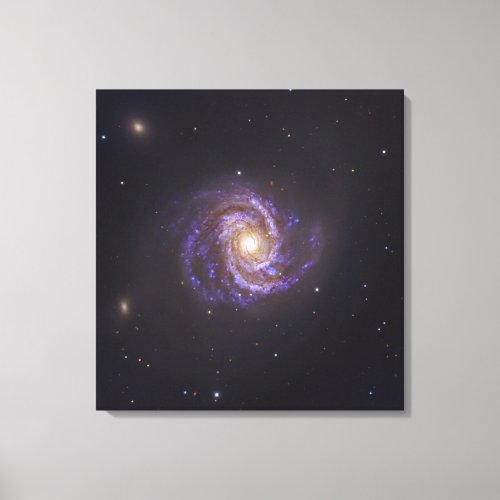 The Spiral Galaxy M100 and Supernova SN2006X Canvas Print