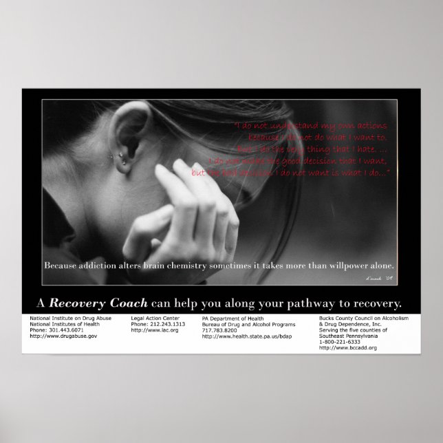 The Spirit is Willing Poster (Front)