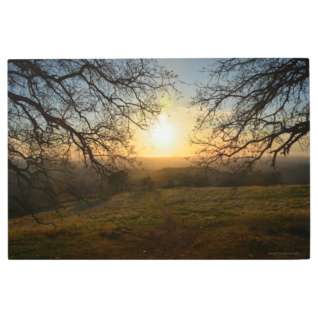 The Spring Path Metal Print (Front)