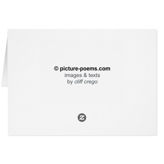 THE SQUARE OF FALSE RATIONALITY (Back Horizontal)