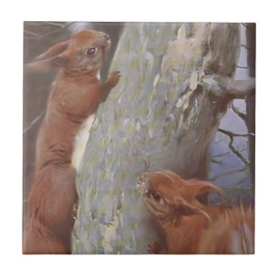 THE SQUIRREL (Sciurus vulgaris) Ceramic Tile