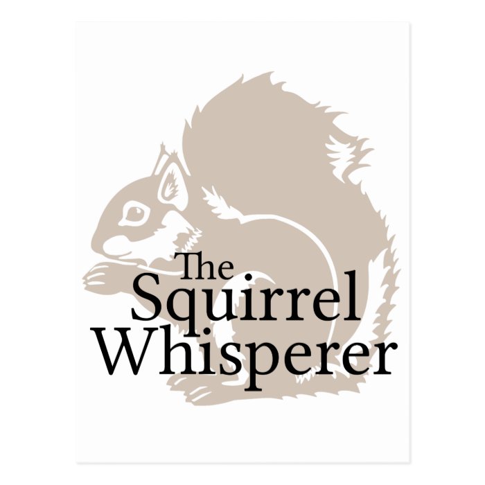 The Squirrel Whisperer Post Card