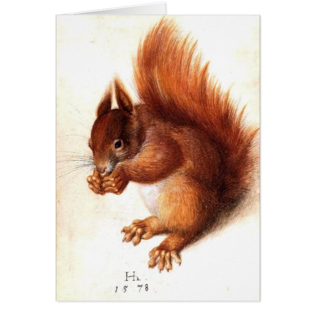 THE SQUIRREL WITH NUTS CARDS (Front)