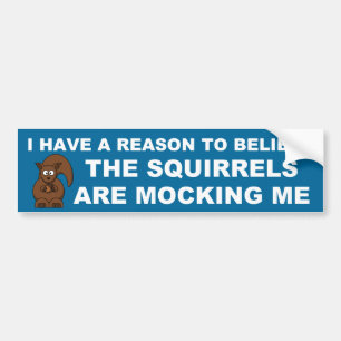 The squirrels are mocking me bumper sticker