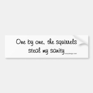 The squirrels steal my sanity bumper sticker