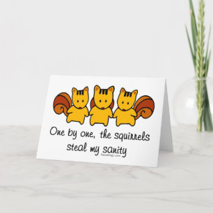 The squirrels steal my sanity card