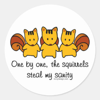 The squirrels steal my sanity classic round sticker