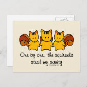 The squirrels steal my sanity Funny Postcard (Front/Back)