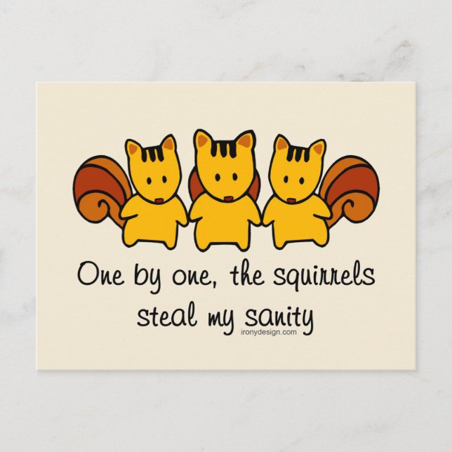The squirrels steal my sanity Funny Postcard (Front)