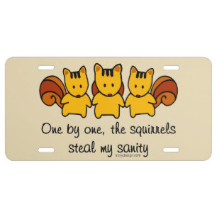The squirrels steal my sanity Humor License Plate