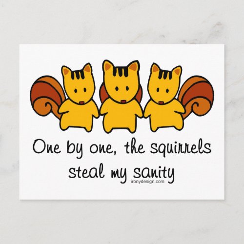The squirrels steal my sanity postcard