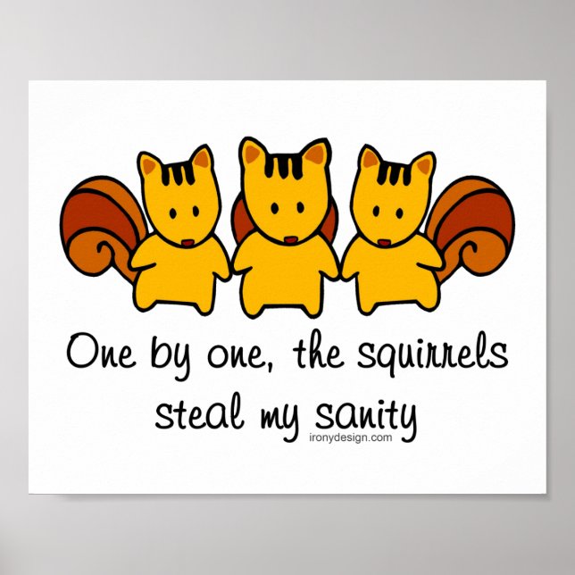The squirrels steal my sanity poster (Front)