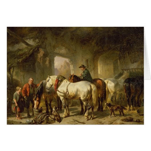 The Stable Cards (Front Horizontal)