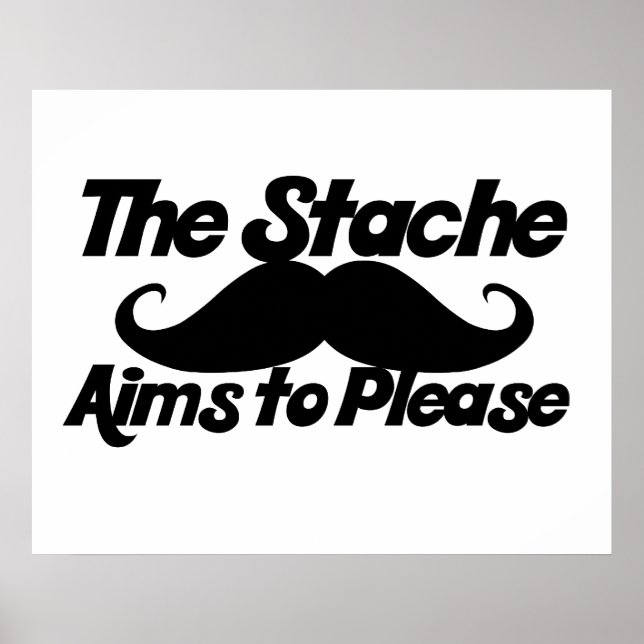 The Stahce Aims to Please Poster (Front)