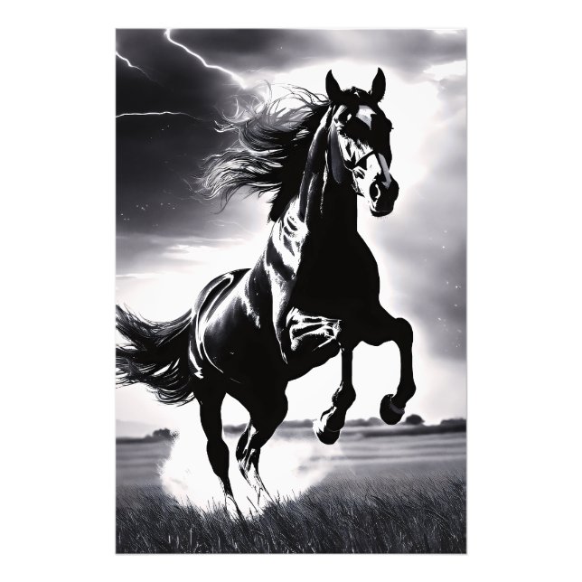 The Stallion Stud Photo Print (Front)
