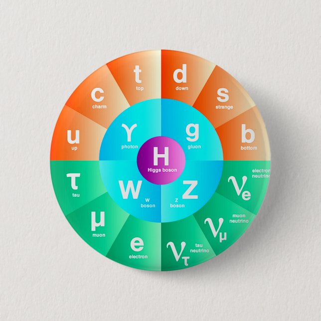 The Standard Model of Particle Physics Pinback Button (Front)