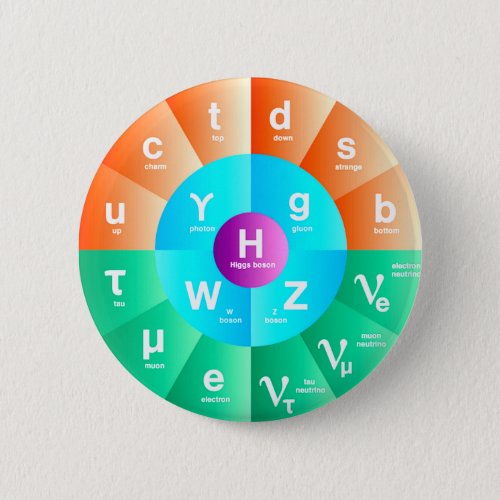 The Standard Model of Particle Physics Pinback Button