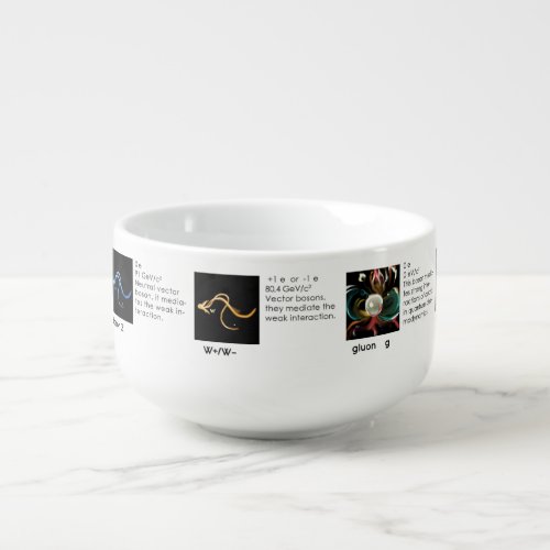 The Standard Model of Particles Soup Mug