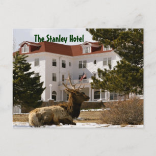 The Stanley Hotel Postcard
