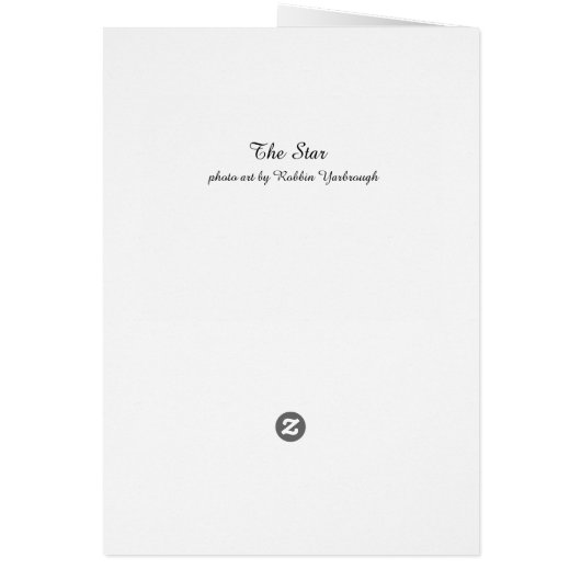 The Star - Black & White Cat on Wood Chair (Back)