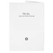 The Star - Black & White Cat on Wood Chair Cards (Back)