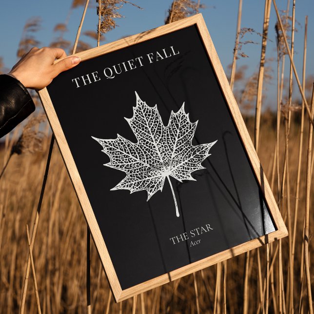 The Star of Fall Black & White Framed Art (Creator Uploaded)