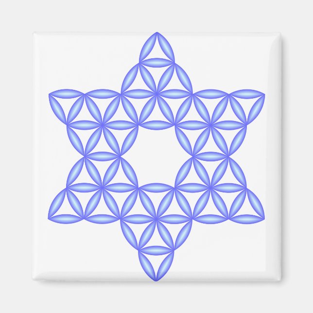 The Star Of Life - Sacred shapes Magnet (Front)